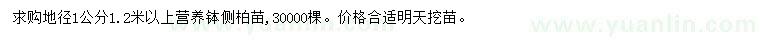 求購(gòu)地徑1公分側(cè)柏