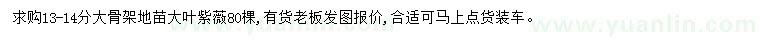 求購13-14公分大葉紫薇
