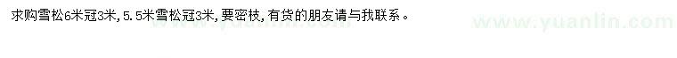 求購雪松