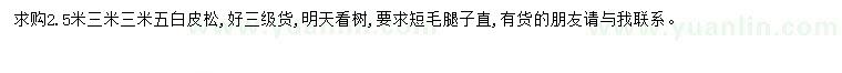 求購2.5-3.5米白皮松