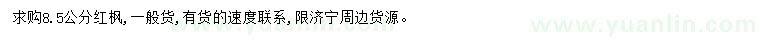 求購8.5公分紅楓