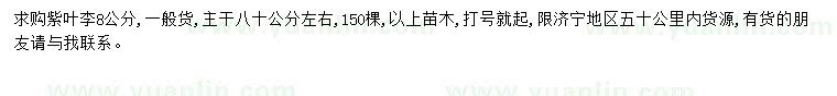 求購8公分紫葉李
