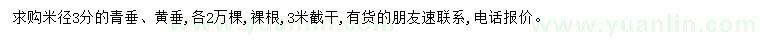 求購米徑3公分青垂、黃垂