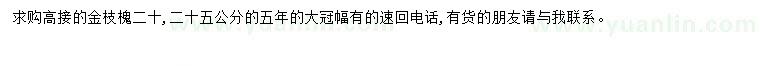 求購金枝槐