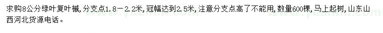 求購(gòu)8公分綠葉復(fù)葉槭