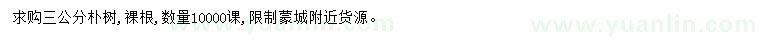 求購3公分樸樹