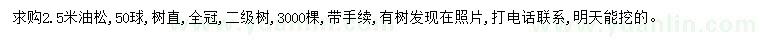 求購2.5米油松