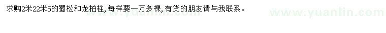 求購2米2一2米5蜀松、龍柏柱