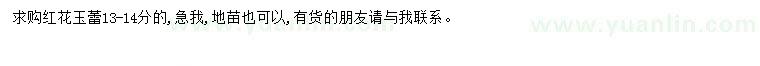 求購13-14公分紅花玉蕾