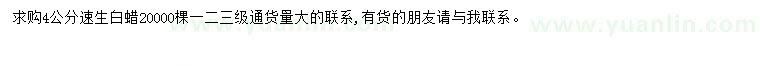 求購4公分速生白蠟