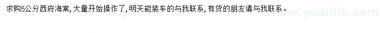 求購(gòu)5公分西府海棠
