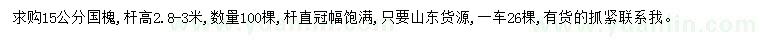求購15公分國槐