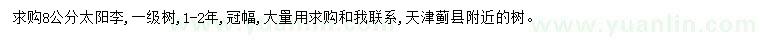 求購(gòu)8公分太陽(yáng)李