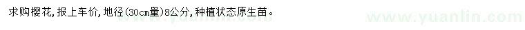 求購地徑8公分櫻花