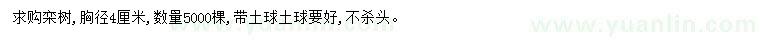 求購胸徑4公分欒樹