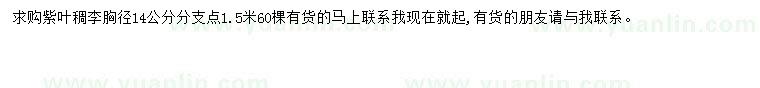 求購(gòu)胸徑14公分紫葉稠李