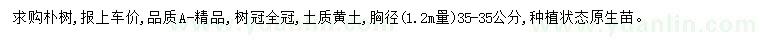 求購(gòu)胸徑35公分樸樹