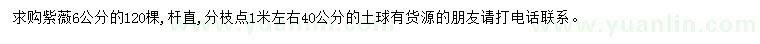 求購6公分紫薇