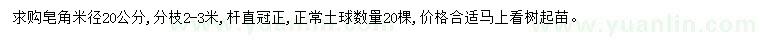 求購米徑20公分皂角