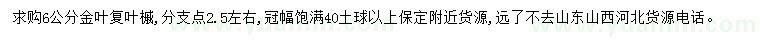 求購6公分金葉復葉槭