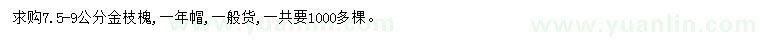 求購7.5-9公分金枝槐