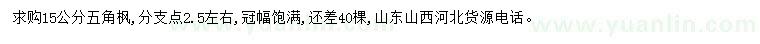 求購15公分五角楓