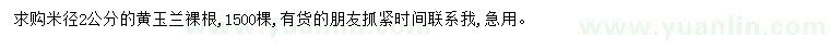 求購米徑2公分黃玉蘭