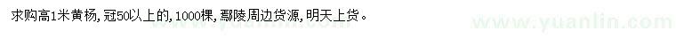 求購高1米黃楊