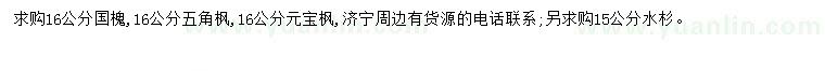 求購國(guó)槐、五角楓、元寶楓等