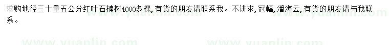 求購5公分紅葉石楠樹