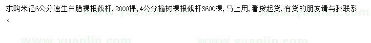 求購(gòu)米徑6公分速生白臘