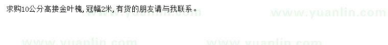 求購10公分金葉槐