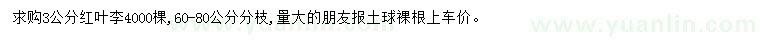 求購(gòu)3公分紅葉李