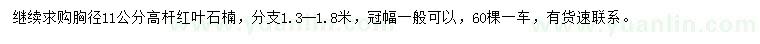 求購胸徑11公分高桿紅葉石楠