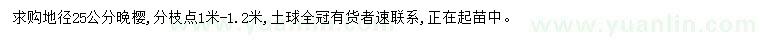 求購地徑25公分晚櫻