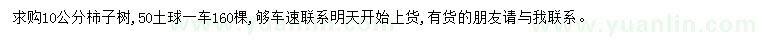 求購(gòu)10公分柿子樹