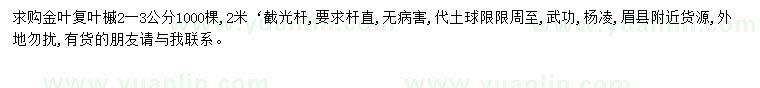 求購2-3公分金葉復(fù)葉槭