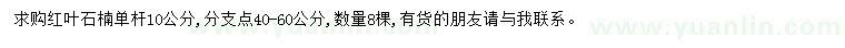求購紅葉石楠