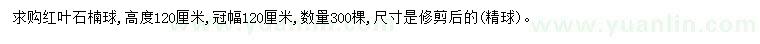 求購高120公分紅葉石楠球
