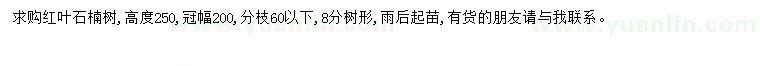 求購紅葉石楠