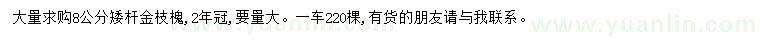 求購8公分金枝槐