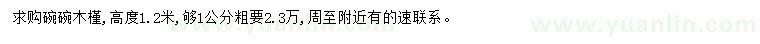 求購高1.2米木槿