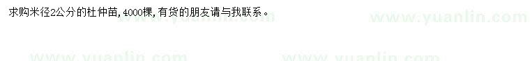 求購米徑2公分杜仲