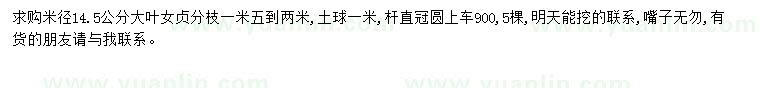 求購米徑14.5公分大葉女貞