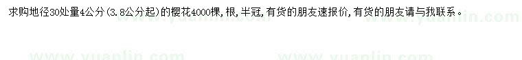 求購(gòu)4公分櫻花