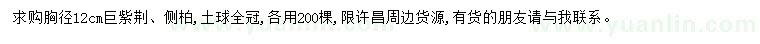 求購(gòu)胸徑12公分巨紫荊、側(cè)柏