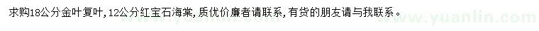 求購(gòu)18公分金葉復(fù)葉槭
