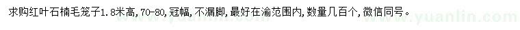 求購(gòu)高1.8米紅葉石楠
