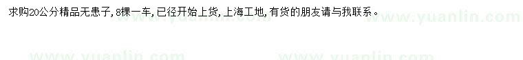 求購(gòu)20公分無(wú)患子