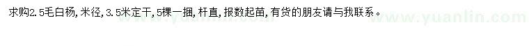 求購米徑2.5公分毛白楊